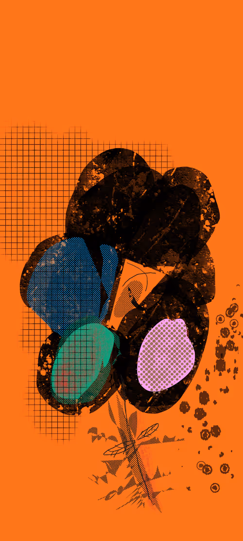 Item #70241569490904563109257465633375413430672860622279496932364889447350942040065 Media