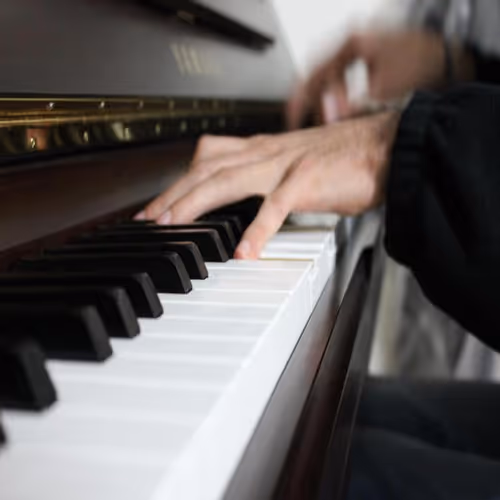 sinanikaeen Collection