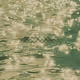 MODULAR WAVES