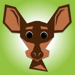 Saku the playful Pinscher miniature 