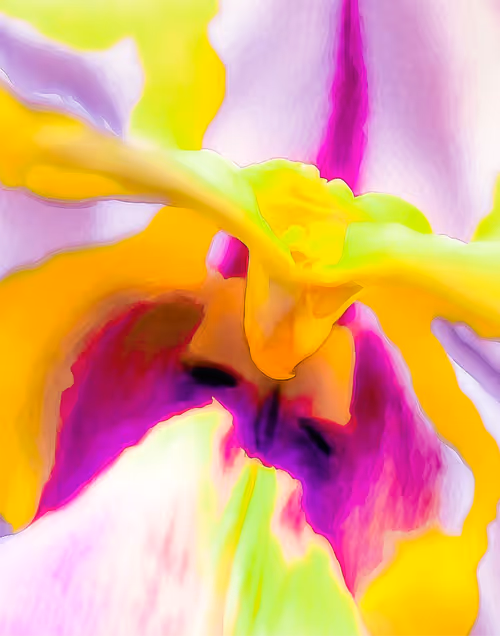 Item #55757122258544797988750640678389281862951612041863042022099534581842080432136 Media