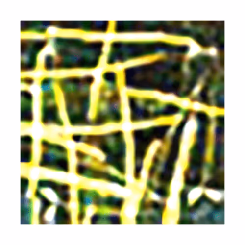 Untitled Collection #243708432 - old