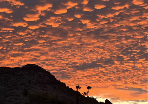 Item #69924028116922076493344461750653993086744312915422441384163025005209173622785 Media