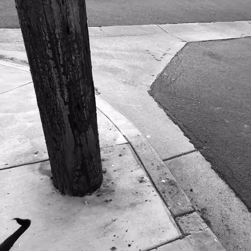 Item #56431751608181922231259635946092067407977788553703326303680802267869780901889 Media