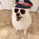 84083408805715589641542082817424640012534436106700666922796738833992363540481