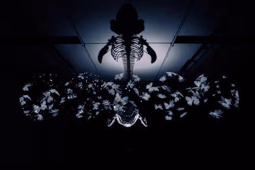 Item #49129412008169772786986690209537281524902027925806806199562930639869747134465 Media