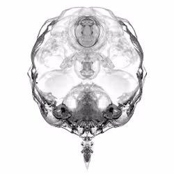 85859191866638808365331437874953228966785819470149775310971063050410133553153