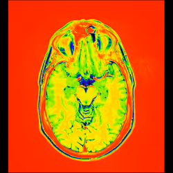 64162533542198579898252916190583583845604629893829087458582976324135622279169