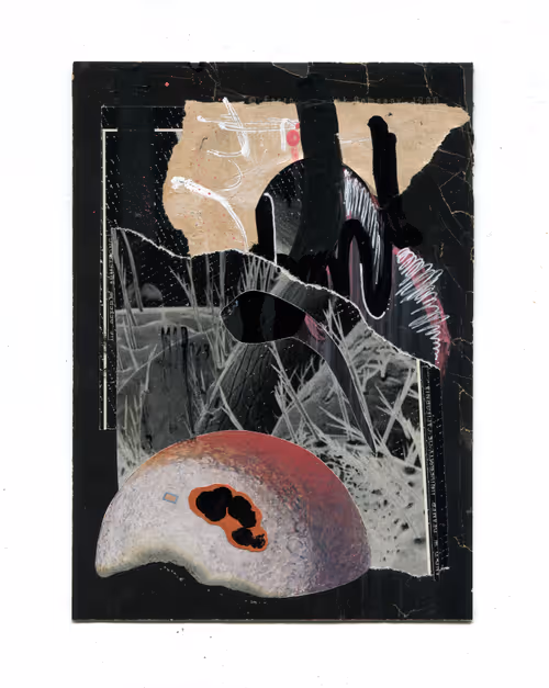 Item #102325781352497127461270967883712424212040872675388250446089264014986965942273 Media