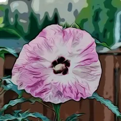 Plant Art 🎨