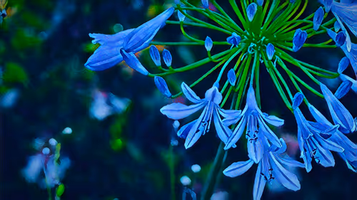 Item #12801933611743003681732093195004376759551915858400843347804904519963758297089 Media