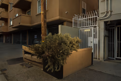 Item #97596376492587480991564299989885194485729582935183473269224319408052864286721 Media