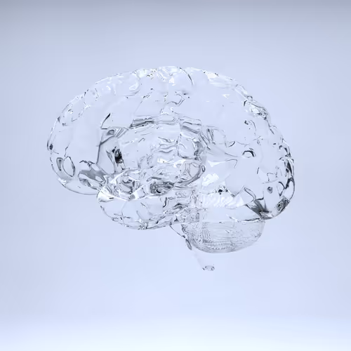 Item #77412820926303725204956055566925211190020908428863033075197849181937630969857 Media