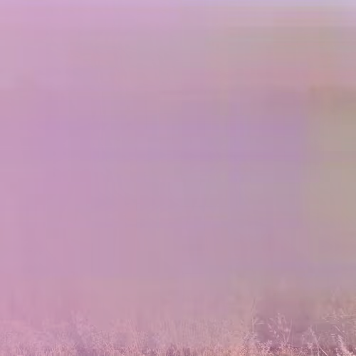 105089968166921690156624725616502706642431777719922472152070405786533965594625