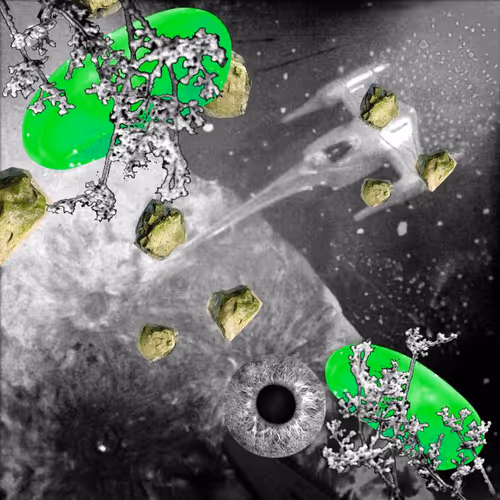 Item #99617095079910595980254990270876944363628162276742898399989141776338490753025 Media