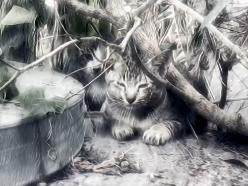 Item #81269833061274051173789884418282317830923519221172308843662164465877910552577 Media