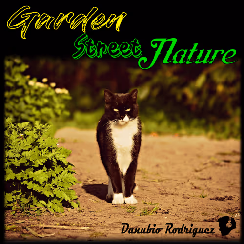 Garden Street Nature