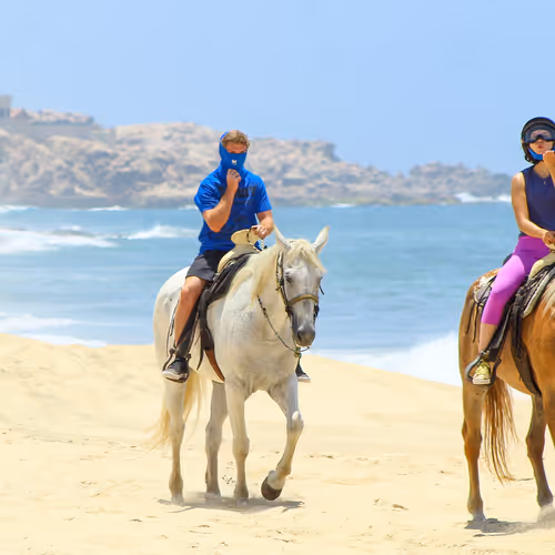 Untitled Collection #36040670