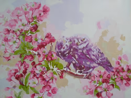 Item #9087082492198593803495045867268524775033233483851976708251600785872533848065 Media