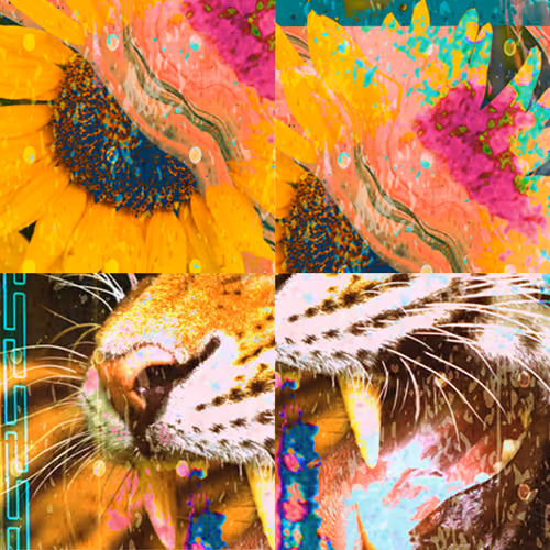 Item #70871789297038847474936990980642128639466396977418564409853882019649916239873 Media