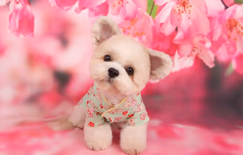 Item #21607923784025543658024067331009769919395041958272689574271021097971645153281 Media