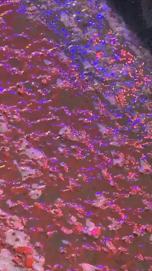 Item #62402000334580523921237358418718502457721815832787791947048085155158620635137 Media