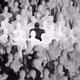 54878250812735075418850533307066598101298590955057696036439389614636183584769