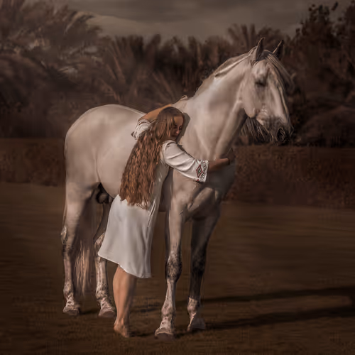 12333759371985289416686528618250941787801478820548931806244366477840112156673