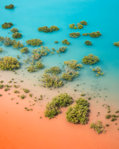 Item #98364308577151193896223353629965486931327977974902168475633960481399370678273 Media