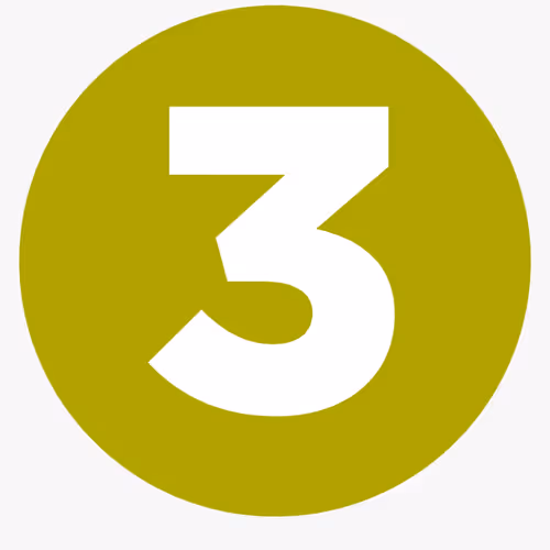 Untitled Collection #1756341946