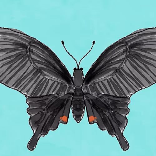 Item #66864591556007262573719694230904401261970940183926238908367936795017041936385 Media