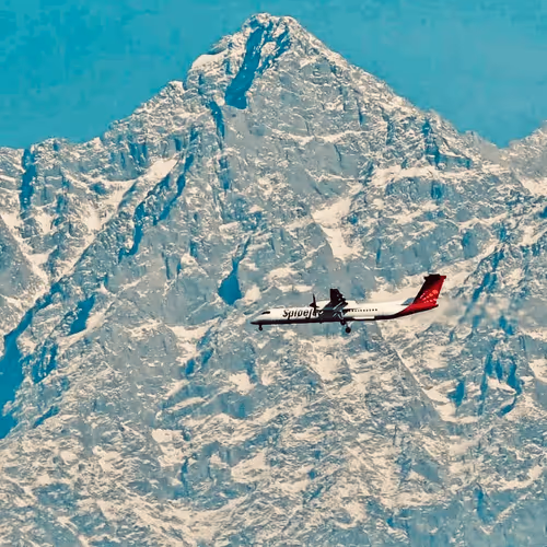 Ankursheel Collection