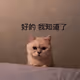 rrr27