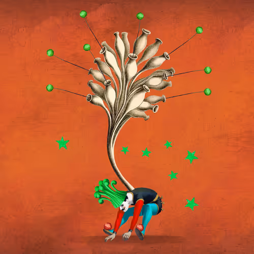 Item #39837860205319031893123637587070044917626634745530009203284418574454007791617 Media