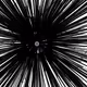1630817444986820439849434051867372453714643309182540215915185187620776837121