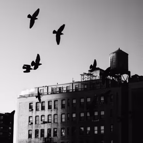 Black And White Photography V2 1