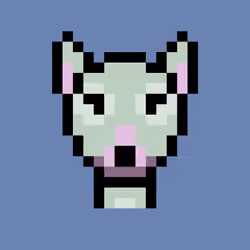 Stella - Bull Terrier