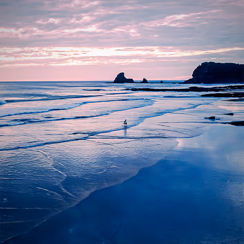 The Last Surf