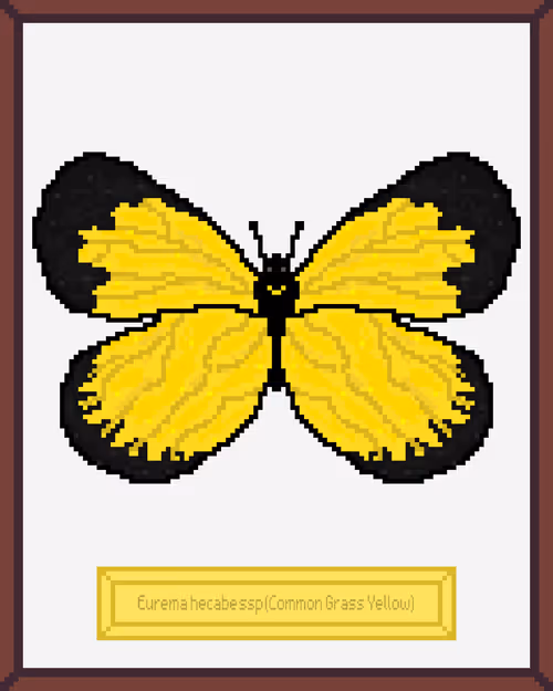 Item #99944933364211782028652678854730295040838579789766917923662069195145765453825 Media