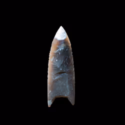 73012537247702807532369324926658446839130533184421937656810479190025512681473