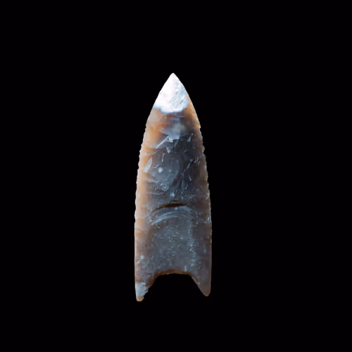 73012537247702807532369324926658446839130533184421937656810479190025512681473