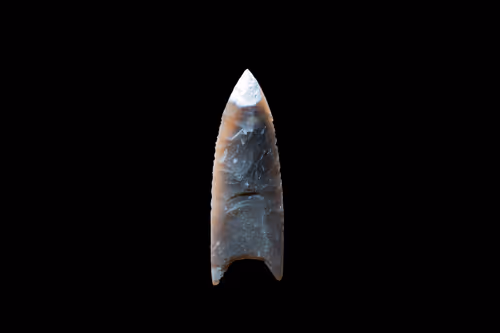 Item #73012537247702807532369324926658446839130533184421937656810479190025512681473 Media