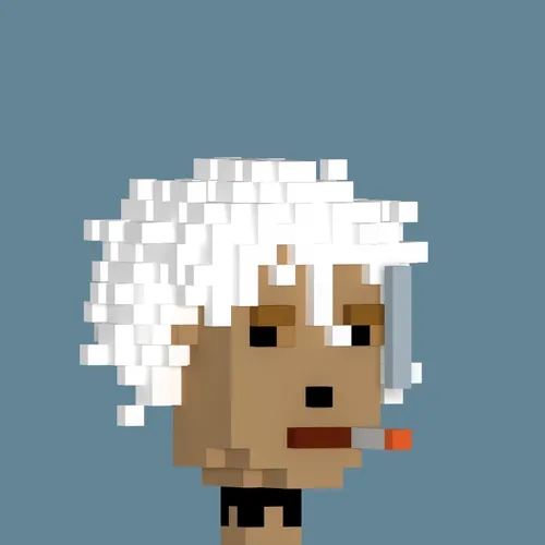 3dvoxelpunks