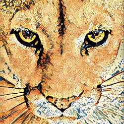 THE PUMA
