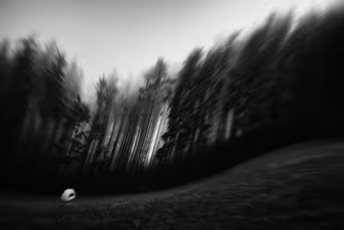 Item #56385213915100806047282226469103412058726397234198873108436401855106148990977 Media