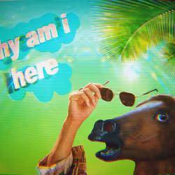 Why Am I Here
