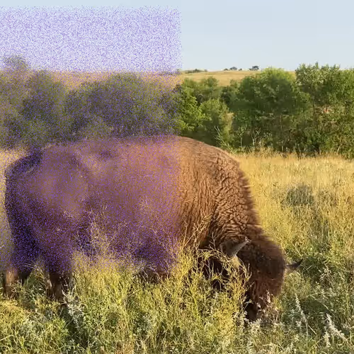 105089968166921690156624725616502706642431777719922472152070405783235430711297