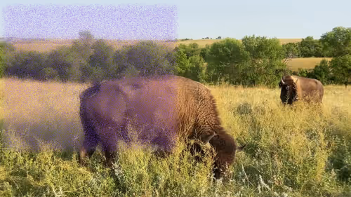 Item #105089968166921690156624725616502706642431777719922472152070405783235430711297 Media