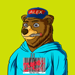Nope Not Today Crypto Bear