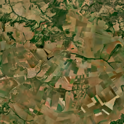 Field art